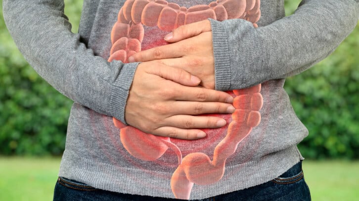 Study outlines potential new probiotic strain with anti-inflammatory action