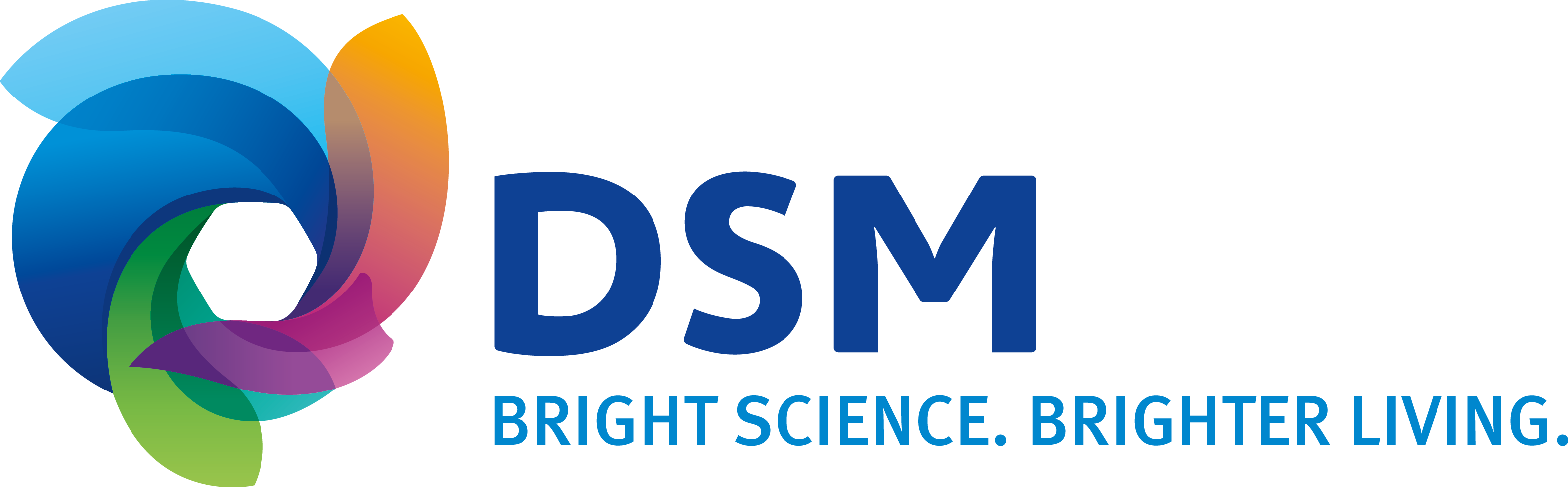 dsm-masterlogo-fullcolor.png