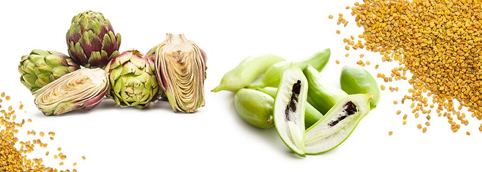 Artichoke-caihua-and-fenugreek-for-lipid-metabolism.jpg