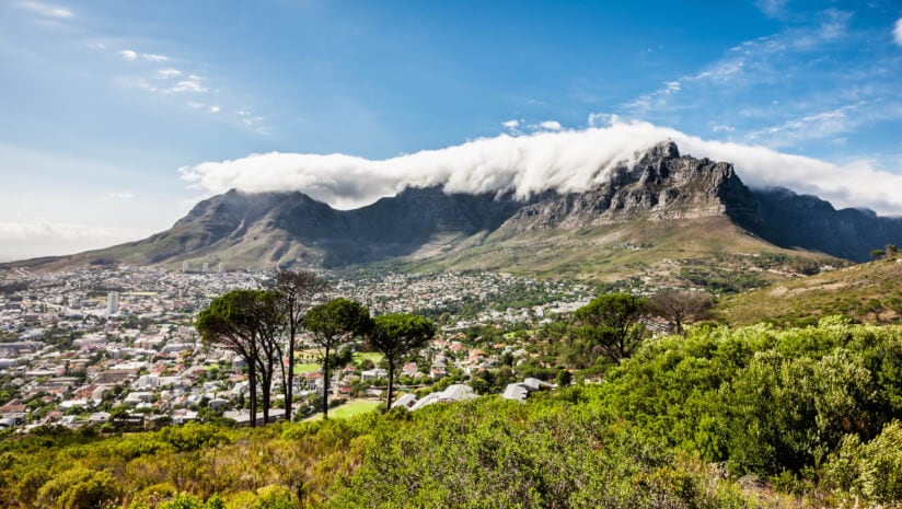 Ensuring-access-to-and-benefit-sharing-for-Southern-African-botanicals.jpg