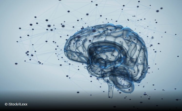 Brain acts on nutritional state to schedule growth and puberty, study finds 