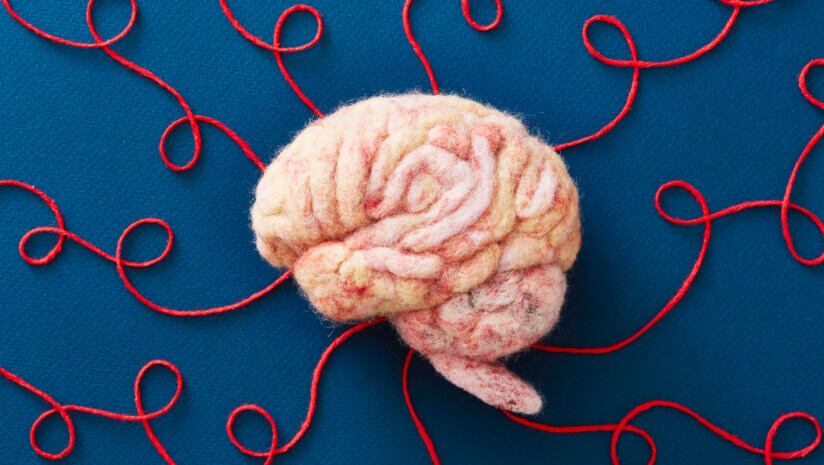 Epilepsy impacts over three million U.S. adults and nearly 500,000 children.