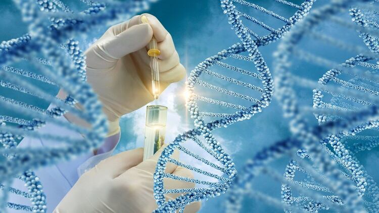 Pioneer uses DNA profiling technology for microbiome strain classification