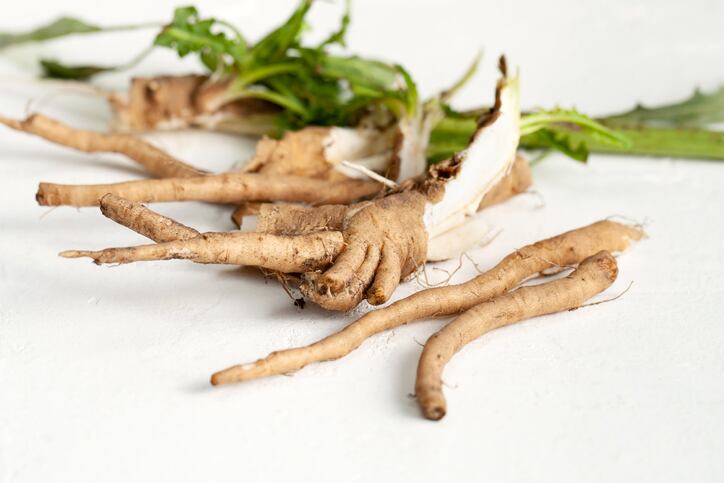 So-Chic-A-fashion-for-fibre-boosts-chicory-root-sales.jpg