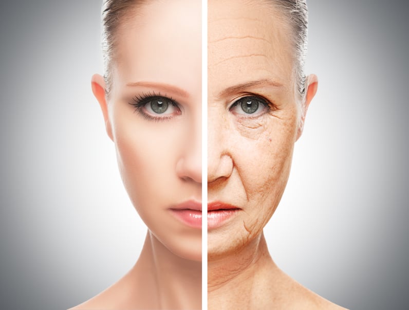 Dow and Deinove in ‘healthy ageing’ pact to develop cosmetic active ingredient