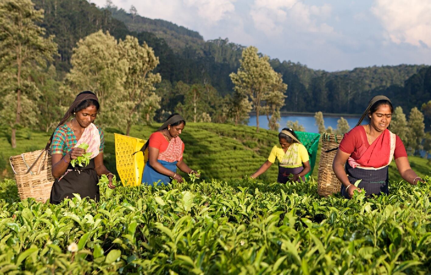 NaturaYuva debuts speciality sustainable botanicals at Vitafoods Europe 2023