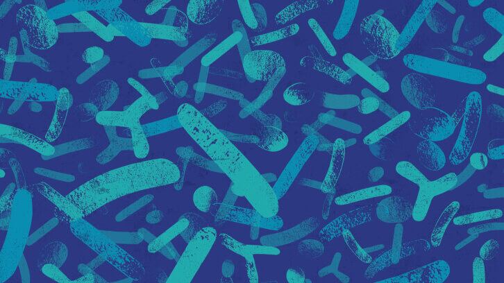 Pre- and probiotics may impact social-decision making: Study
