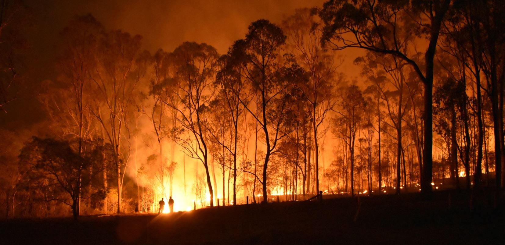 Best of bushfire relief: How Mondelez, Estee Lauder, Blackmores and more are helping out