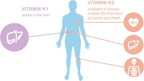 nad+ and glutathione together benefits Acetyl-Glutathione 300 mg (Allergy Research Group) main image 0