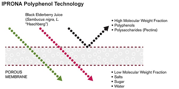 iprona-phenol-technology.jpg