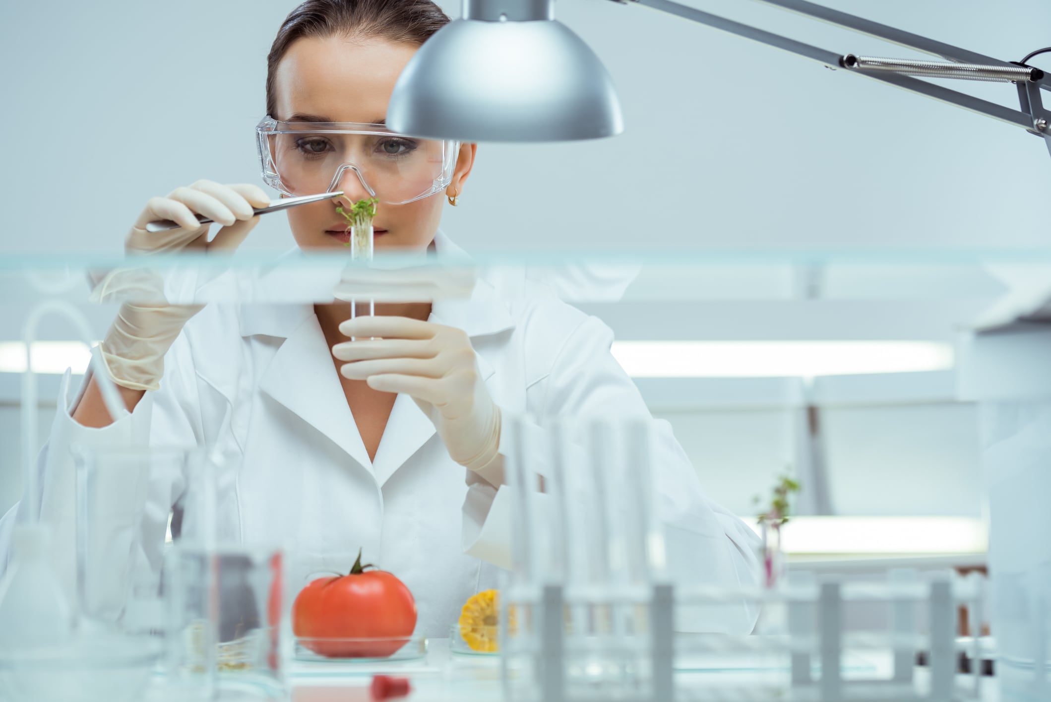 Nestlé‘s global head of food safety on digital and AI
