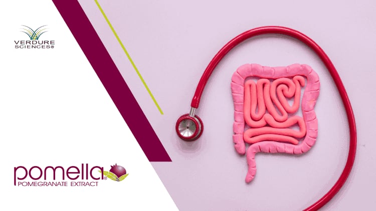 Pomella-R-Extract-Prebiotic-Potential-in-New-Study.png