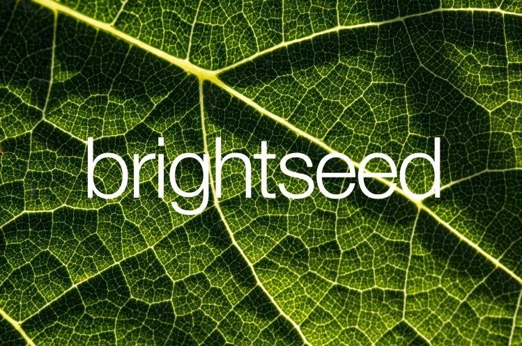 Brightseed-logo.jpg