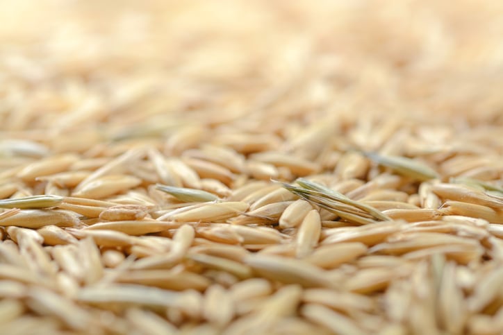 Good sprout: Oat extract found to reduce eczema symptoms – Korea study