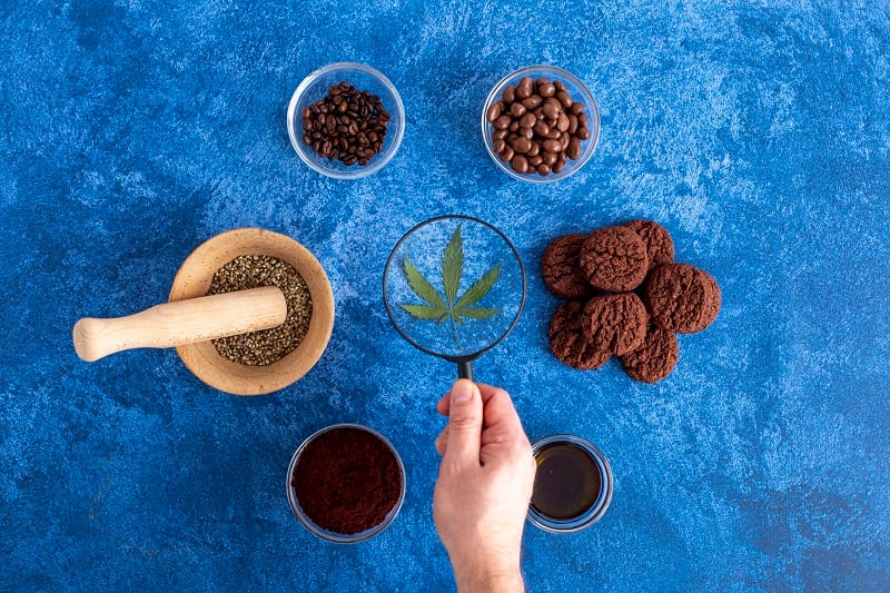 UK CBD industry body becalmed after novel foods applications clarification   