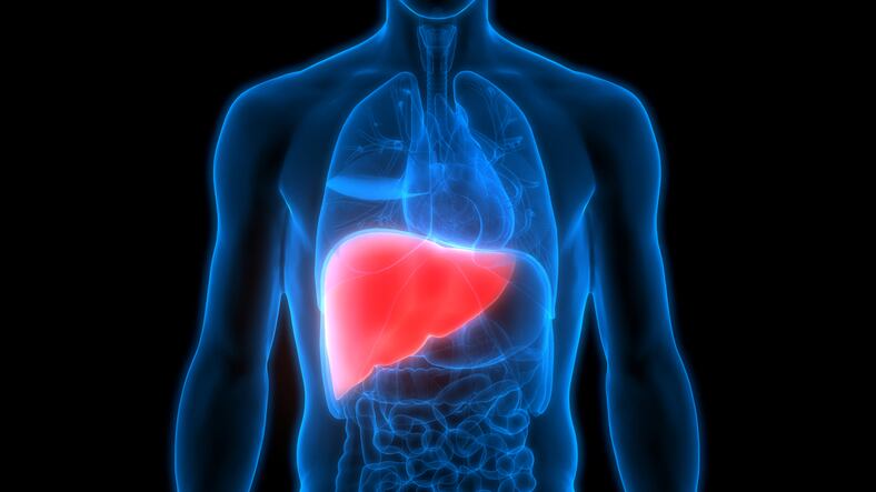 Gut-liver axis: Probiotics and prebiotics show promise against non-alcoholic fatty liver disease - review