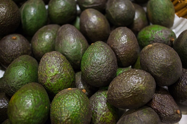Avocado oil extract patented as active ingredient to treat and prevent hearing loss