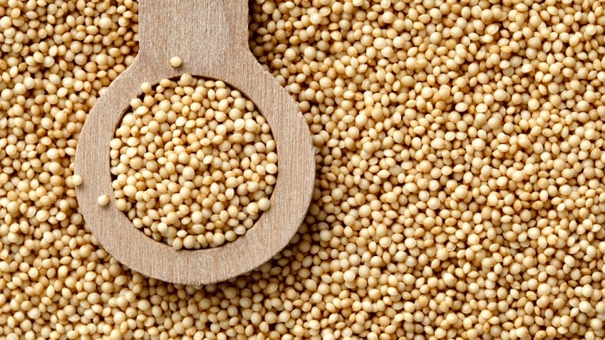 Sesame.jpg