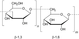 beta-glucanSMALL.png