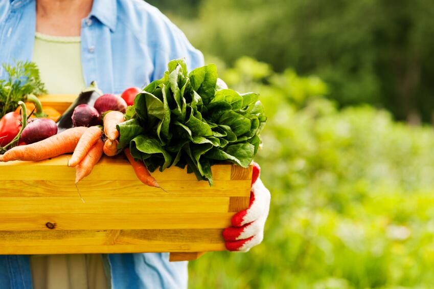 organic_vegetables.jpg