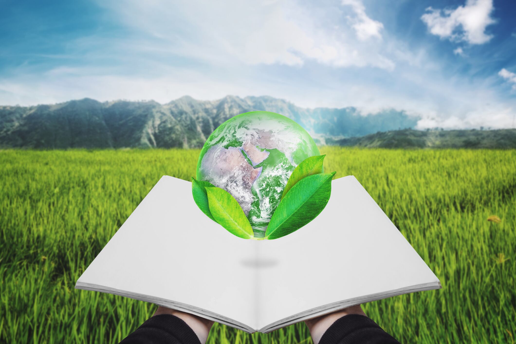 'Ground-breaking' Nordic Nutrition Recommendations spotlight overlooked nutrients