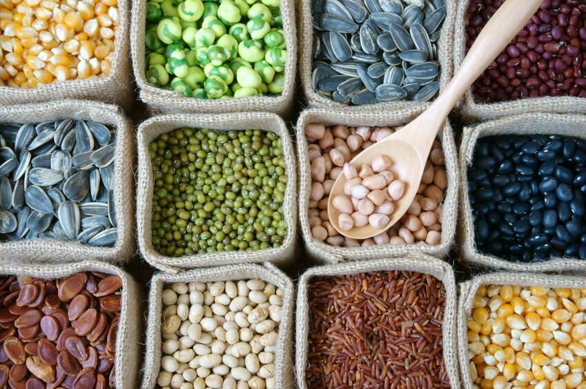 ‘Designer prebiotics’ are the future of food and microbiome modulation, says expert 