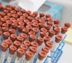 Nano encapsulation of peppermint oil delivers antibacterial wound healing prowess: Study  