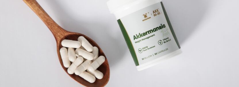 Akkermansia supplements