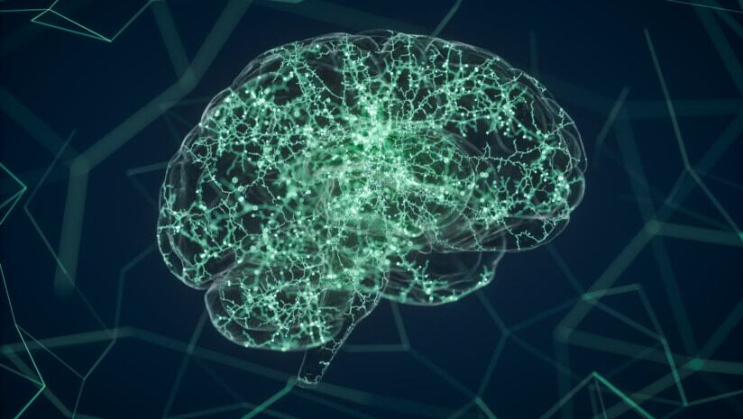 Green Bioactives and Nutra Bridge partner to bring plant-based memory ingredient into North America 