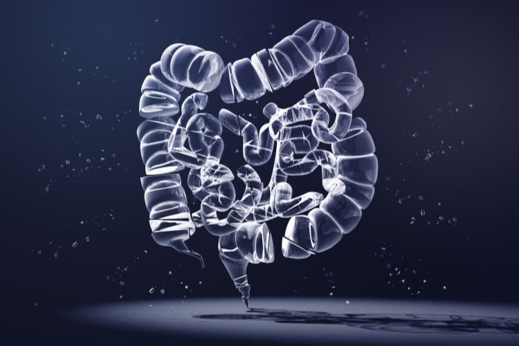 Yili explores microencapsulation for new range of fortified shelf-stable products