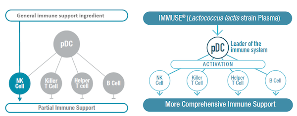 IMMUSE-Replacement-Graphic.png