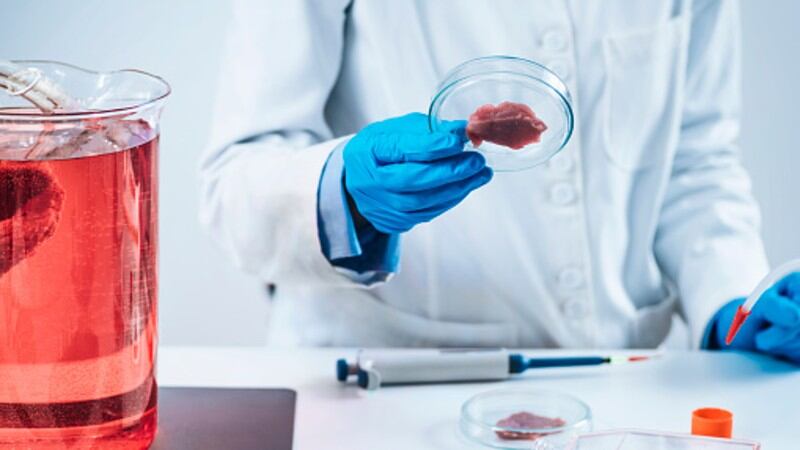 Alt Protein Watch: Asia as cultured seafood epicentre, new mealworm protein markets, plant-based wagyu in ASEAN and more feature in our roundup