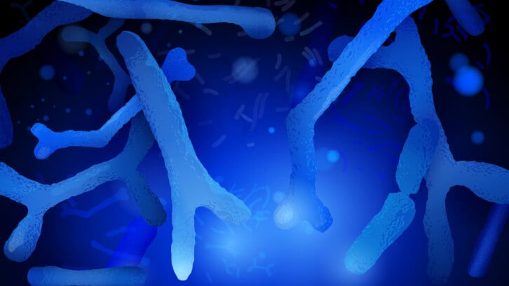Synbiotic-Health-reports-new-health-benefits-for-flagship-probiotic-B.-adolescentis-strain.jpg