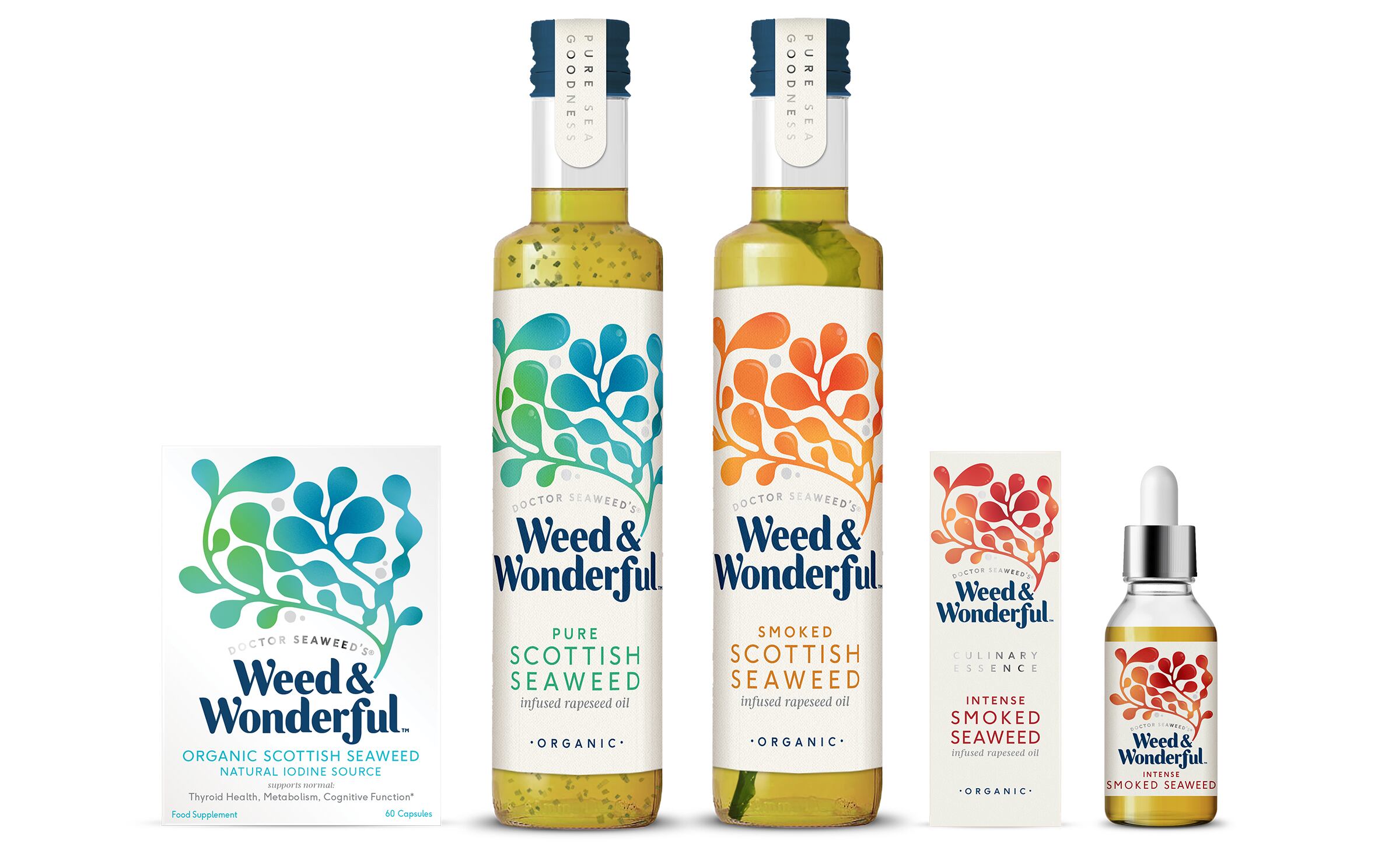 Marine-biologist-dives-deeper-into-health-market-with-seaweed-range.jpg