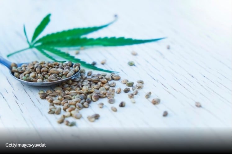 CBD sector warms to UK 2021 novel foods deadline; EIHA says German Ministry backs some extracts