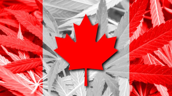 Ex-Health Canada NHP DG: ‘Cannabis is Canada’s New Wild West’