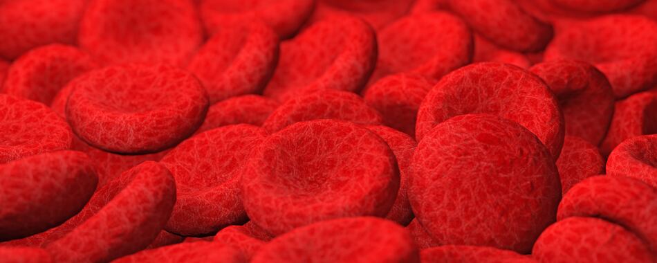Gut-heart-axis-polyphenol-rich-extracts-can-modulate-gut-microbiota.jpg