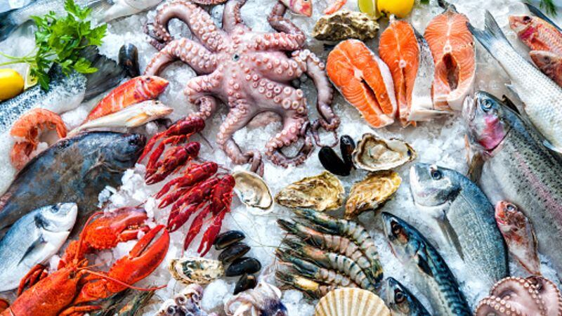 Stemming the tide: Challenged Japanese seafood sector urged to prioritise sustainable measures to maintain profitability