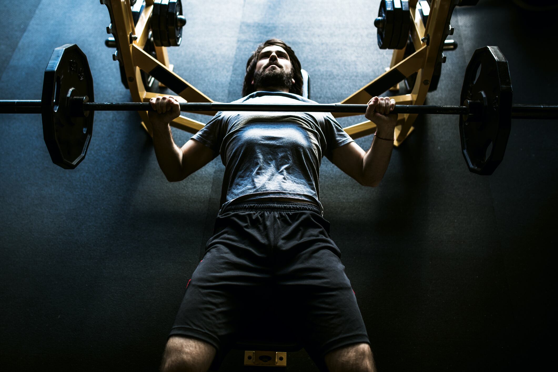 Mitopure Urolithin A supplementation was reported to increase bench press and squat performance