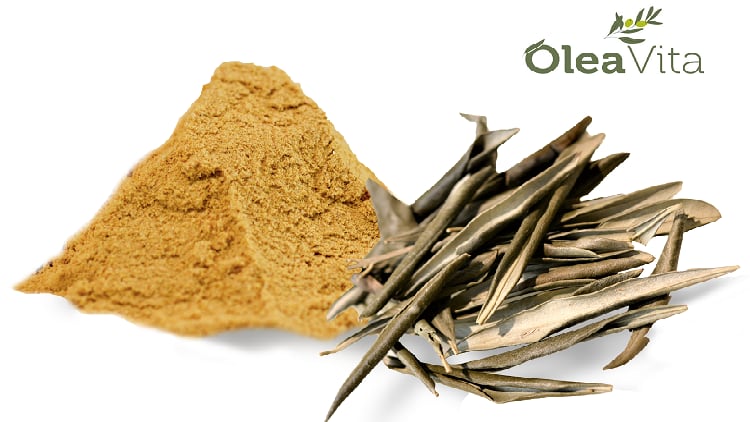 Weight Management Ingredient of the Year: OleaVita
