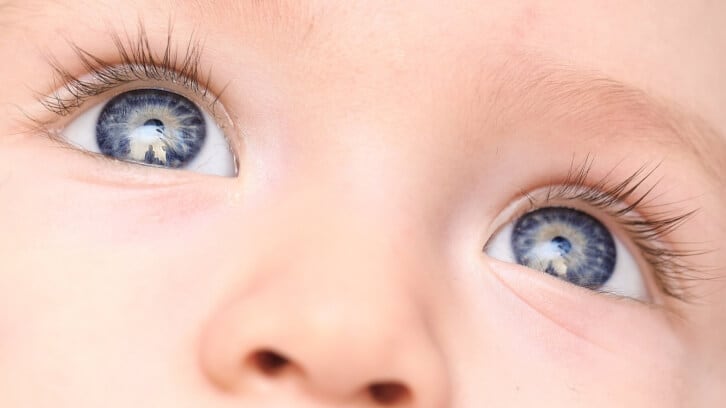 Evolving-science-shifts-focus-to-lutein-s-lifelong-eye-and-brain-benefits.jpg
