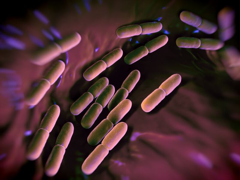 bacteria-probiotic-gut-digestive.jpg