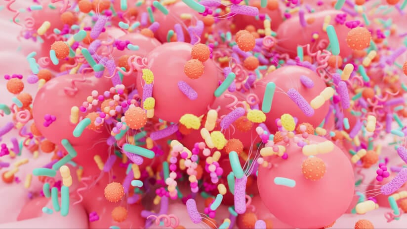Image of a diverse set of colorful microbes in the human gut