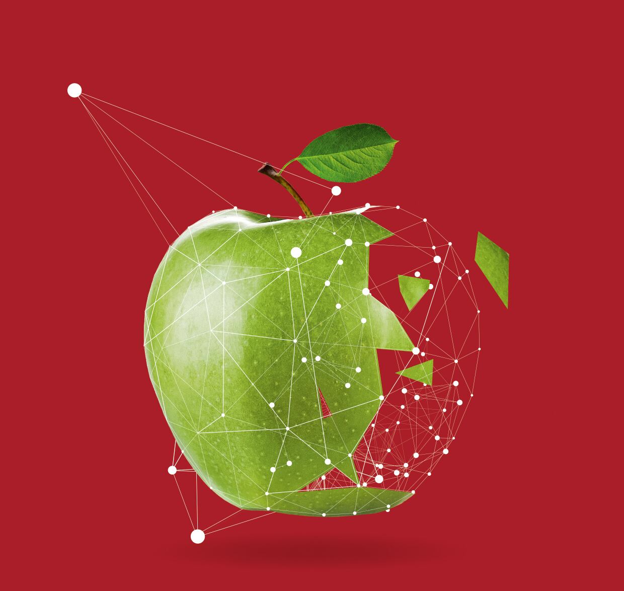 PhytoCellTec beauty ingredient gains positive EFSA opinion as novel food