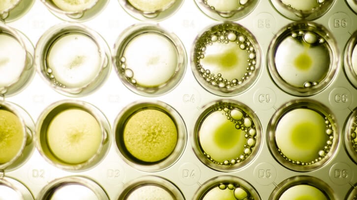 Aker BioMarine capitalizes on krill oil know-how, expands into algae