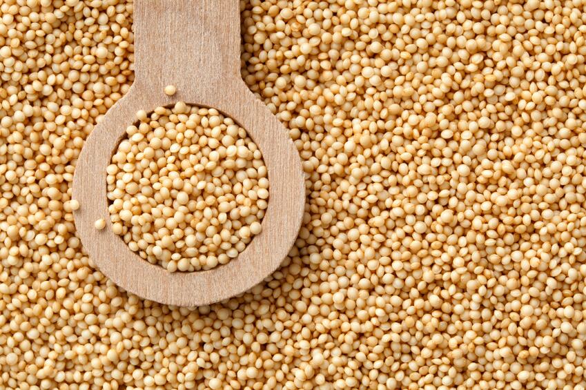 Protein-packed-cereal-grains-like-amaranth-are-ideal-for-bars-and-breakfast-cereals-Asif-says.jpg