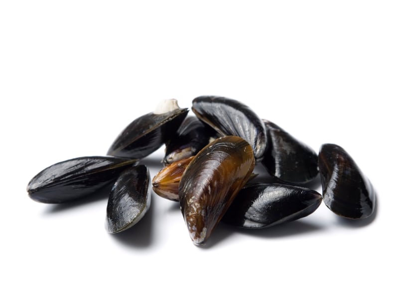 Eating-mussels-may-help-reduce-the-risk-of-cardiac-arrest-thanks-to-omega-3.jpg