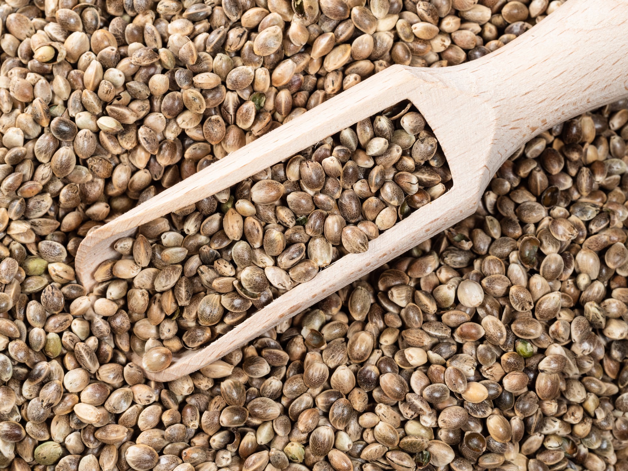 Brightseed launches BioMetaControl for blood sugar control and metabolic health
