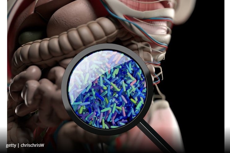 Future microbiome themes embrace home testing and personalisation as consumers own gut health