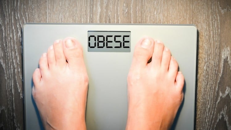 Anti-obesity: Two Lactobacillus strains could alleviate obesity by regulating gut flora – RCT